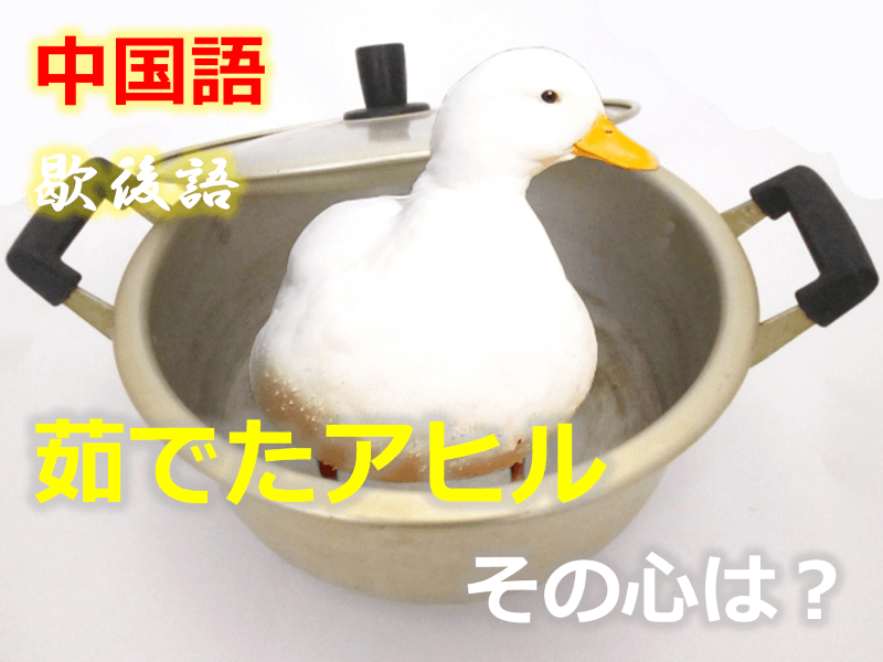 中国語: 茹でたアヒル（鴨） - その心は？【歇後語】