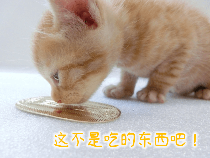 猫に小判（ねこにこばん）- 日语: 关于猫的常见比喻