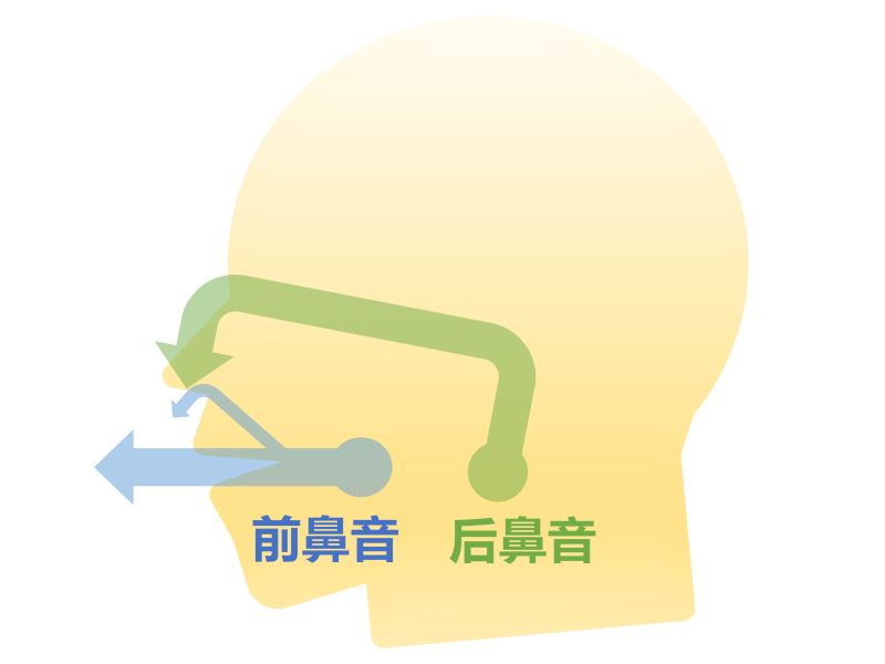 鼻音の「前と後ろ」は頭の中の位置・息と鼻の位置関係