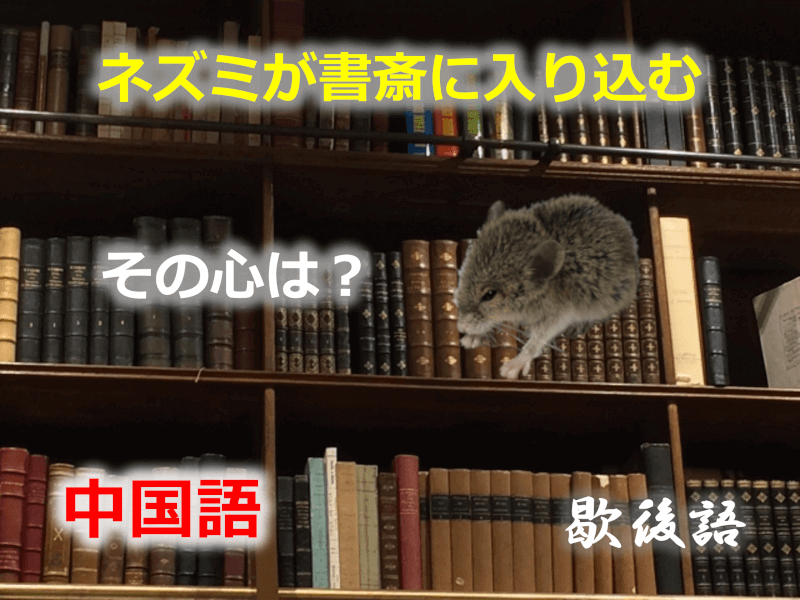 中国語: ネズミが書斎に入り込む - その心は？（歇後語・シエホウユウ・湾曲表現・なぞなぞ・クイズ・大喜利・故事成語）