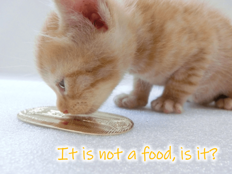 猫に小判（ねこにこばん） [neko ni koban] = Give cat gold coin