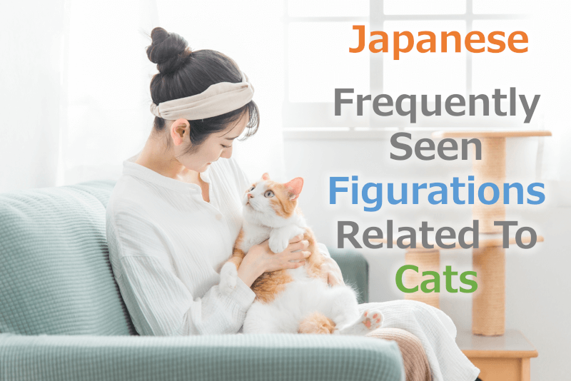 Japanese: Frequently seen figurations related cats