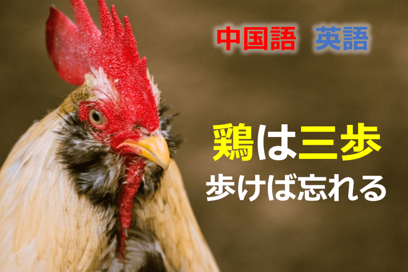 中国語・英語: 鶏は三歩歩けば忘れる