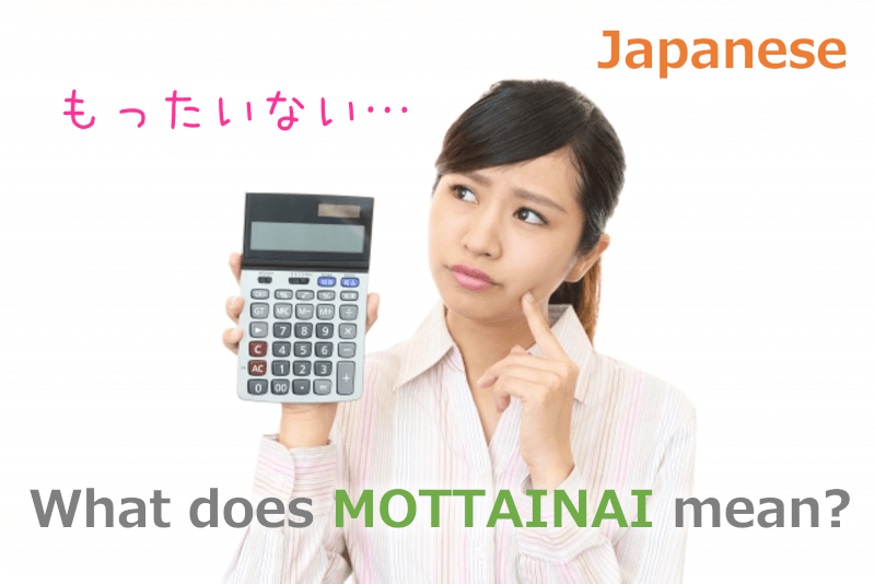 Japanese: What does MOTTAINAI （もったいない） mean?