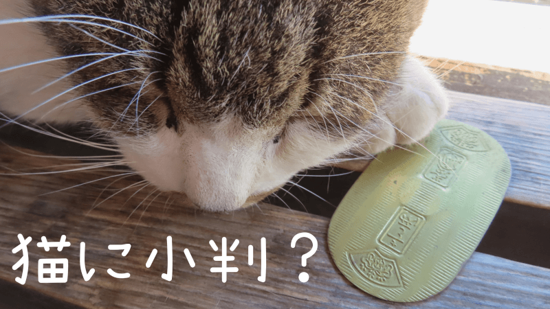 猫に小判 - 日本語中国のことわざ関連図 - 中国語: 日本と中国のことわざ 対牛弾琴・馬の耳に念仏・馬耳東風… 関連表現 徹底解説 【図解】